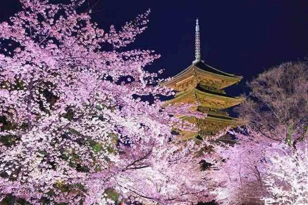 京町屋ちよせ　Kyo-Machiya Chiyose Villa Kyoto 0*,  Japan