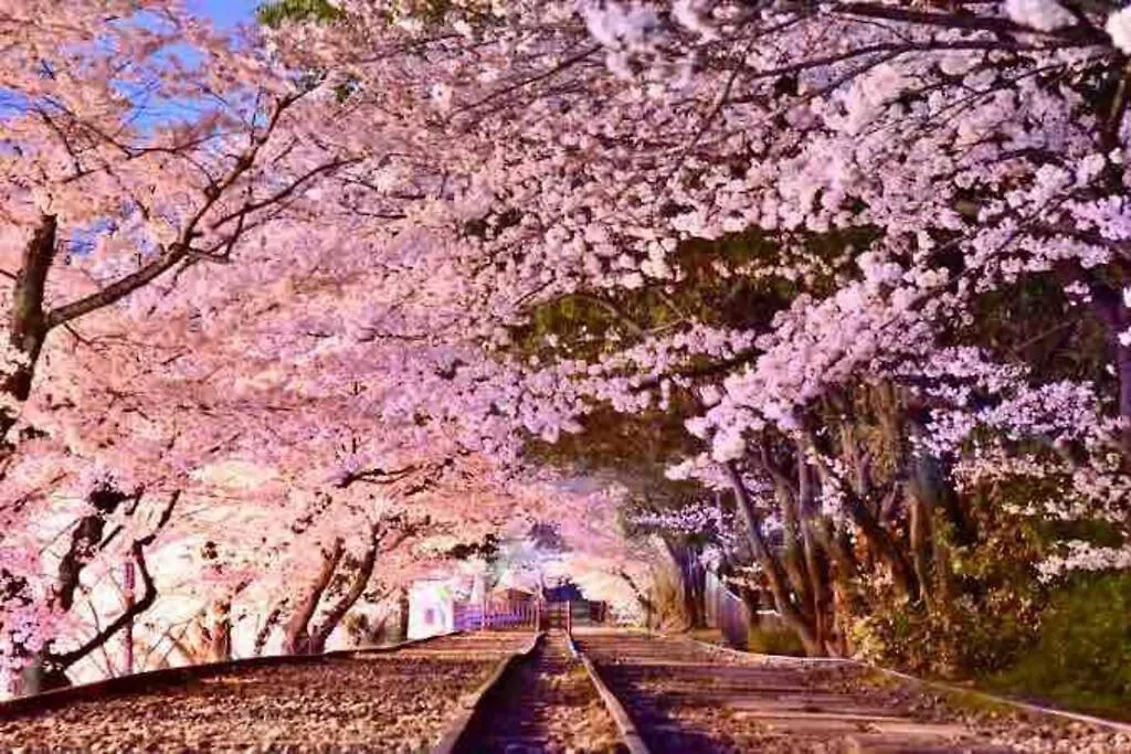 Holiday home 京町屋ちよせ　Kyo-Machiya Chiyose Villa Kyoto Japan