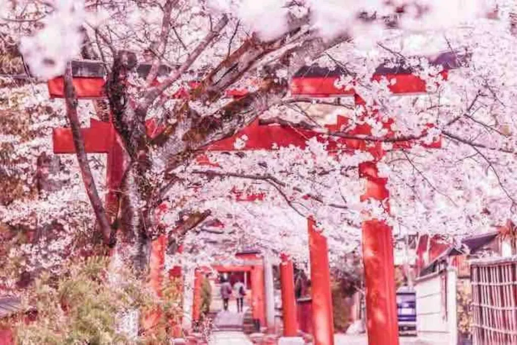 京町屋ちよせ　Kyo-Machiya Chiyose Villa Kyoto